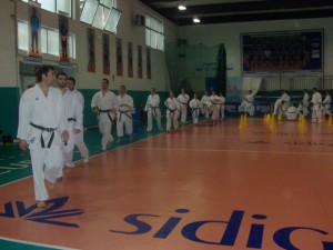 raion karate