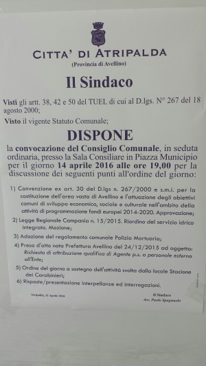 Consiglio comunale